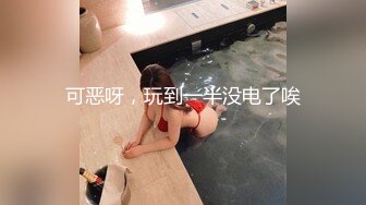 麻豆传媒 MDHT-0009《奇淫旅社》分手后的肉体慰藉