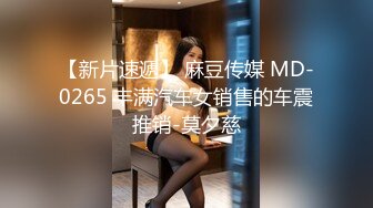 【新片速遞】 麻豆传媒 MD-0265 丰满汽车女销售的车震推销-莫夕慈