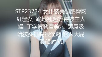 STP23734 女仆装美腿肥臀网红骚女  跪地翘起等待被主人操  丁字裤勒着美穴  舔屌吸吮按头插嘴很淫荡 后入大屁股颜射 VI