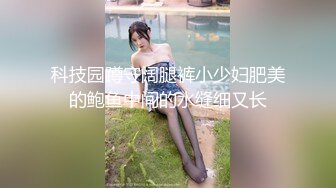 科技园蹲守阔腿裤小少妇肥美的鲍鱼中间的水缝细又长