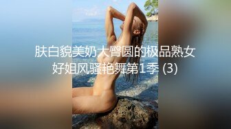 肤白貌美奶大臀圆的极品熟女好姐风骚艳舞第1季 (3)