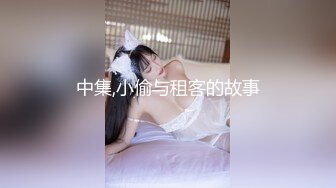 中集,小偷与租客的故事