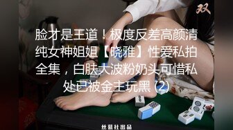 脸才是王道！极度反差高颜清纯女神姐姐【晓雅】性爱私拍全集，白肤大波粉奶头可惜私处已被金主玩黑 (2)