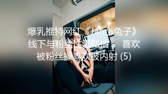   成都航空职业技术学院D奶大二学妹 酒店制服后入 对着卫生间镜子一顿猛力输出