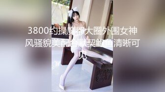 7-17新片速递大神探花辟帝酒店约炮美乳腿模穴紧逼骚 精致马尾极品炮架前面一撮逼毛毛茸茸的