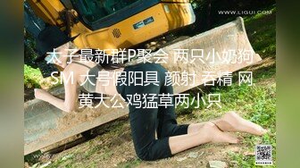  极品萝莉户外性体验调教玩操制服萝莉小母狗 电影院做爱 摩天轮爆 网吧JK跪舔 车震爆