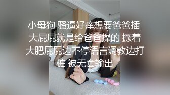 爱吃肉的猫,大学学妹叫我帮忙补课,结果补到了床上