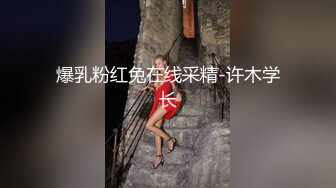 唐安琪内部私购 NO.010 兔子装装扮写真