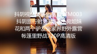 STP34291 极品酥乳女神 爆乳画家的呻吟 辛尤里