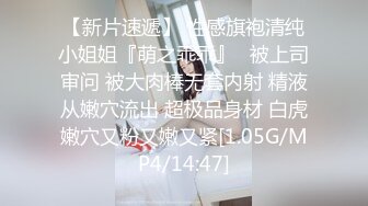 性感蕾丝美臀骚老婆的唯美性交