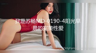 TWTP 游乐场女厕全景偷拍几个撅着屁股嘘嘘的高颜值美女2 (4)