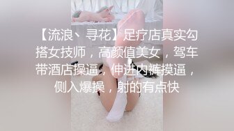 禁宫奢淫传-陈可心