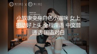 小奴隶变身白色小猫咪 女上扭动好上头 全程淫语 中文普通话 国语对白