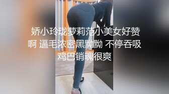 -[高清无水印]91秦先生最新独家正版发售第18部-私人订制篇：潜规则巨乳丝袜腿模莉莉 -1