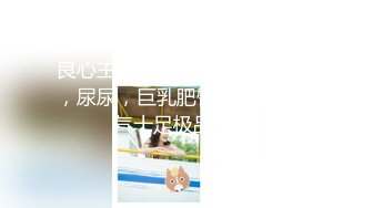 IPZ-370 結婚紀念日被強奸戴上貞操帶的人妻 為了老公默默忍受終於被插到墮落 RIO[中字高清](無碼破解)