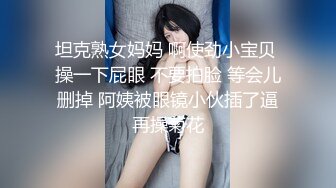 跑趴辣妹女仆的打扫访问