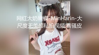 网红大奶嫩模-MinHarin-大尺度无美颜私拍视频,看骚皮燕子