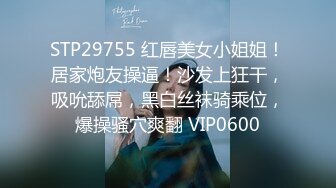 STP29755 红唇美女小姐姐！居家炮友操逼！沙发上狂干，吸吮舔屌，黑白丝袜骑乘位，爆操骚穴爽翻 VIP0600