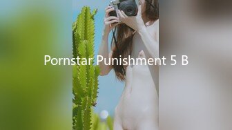 Pornstar Punishment 5 B