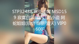 STP32488 麻豆传媒 MSD159 寂寞白领猎艳江湖小盗 阿蛇姐姐(欣怡 绯丽 夏天) VIP0600