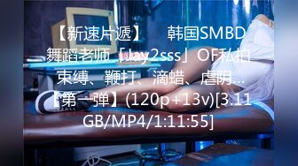 MSD-042_交換女友100萬能買你女友一夜嗎_官网