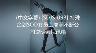 (中文字幕) [SDJS-093] 特殊企划SOD女员工高潮不断公司说明会视讯篇