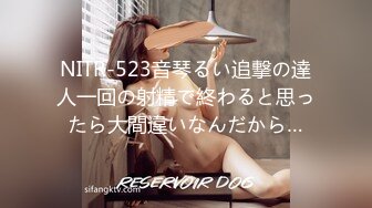 NITR-523音琴るい追撃の達人一回の射精で終わると思ったら大間違いなんだから…